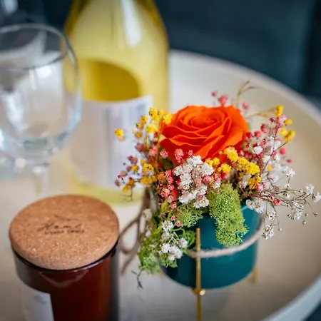 Trinavis Boutique Apartments, Own Private Parking, Center, Entire Apartment