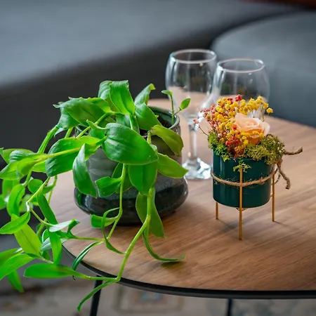 Trinavis Boutique Apartments, Own Private Parking, Center, Entire Veliko Tarnovo