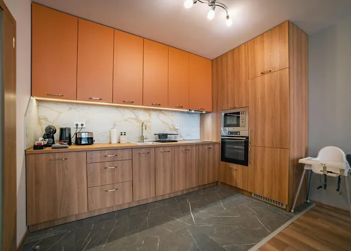 Apartment Trinavis Boutique Apartments, Own Private Parking, Center, Entire *