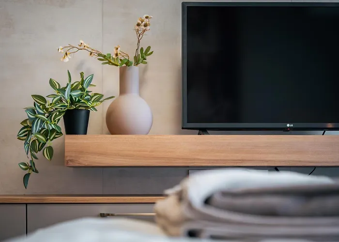 Apartment Trinavis Boutique Apartments, Own Private Parking, Center, Entire