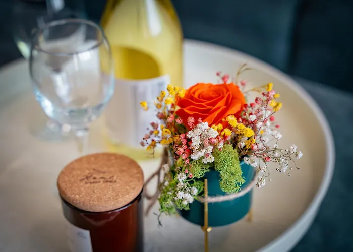 Trinavis Boutique Apartments, Own Private Parking, Center, Entire Apartament