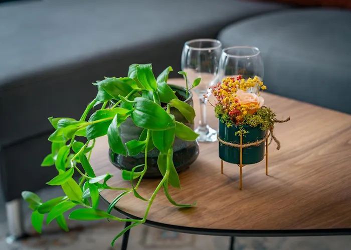 Trinavis Boutique Apartments, Own Private Parking, Center, Entire Veliko Tarnovo